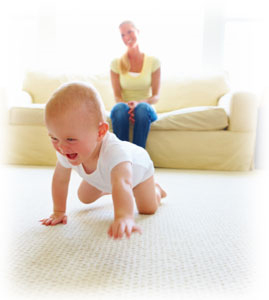 Carpet Cleaning Walnut Creek