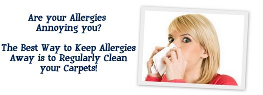 Carpet Cleaning Walnut Creek