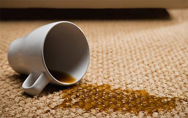 Carpet Cleaning Walnut Creek