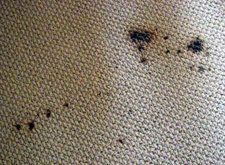 Spot & Stain Removal Walnut Creek