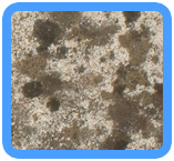 Walnut Creek Water Damage Restoration